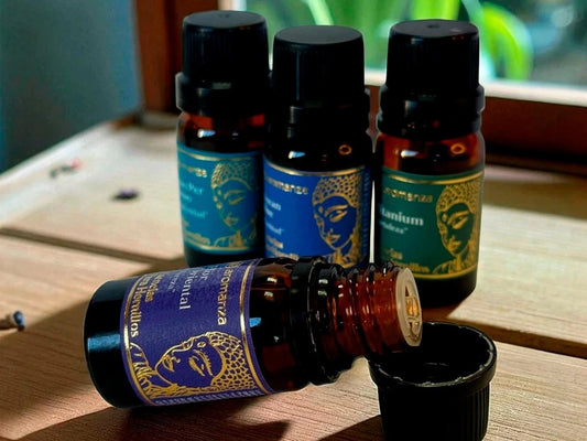 ESENCIAS HORNILLOS CONCENTRADA AROMANZA X 1