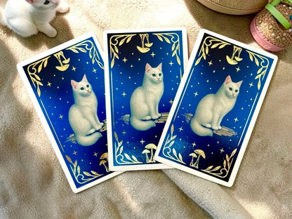 ORACULOS DE LOS GATOS - ILUMINARTE X1