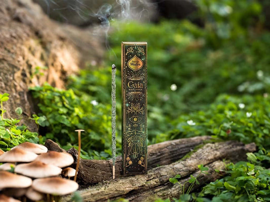 Sahumerio Gaia Blend Masala x 1 - Sagrada Madre | Aromaterapia