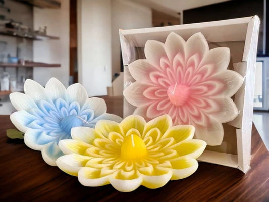 Vela flotante gigante de loto Irupé en caja de 4x20 cm
