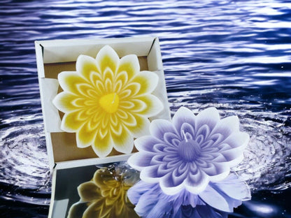 Vela flotante gigante de loto Irupé en caja de 4x20 cm