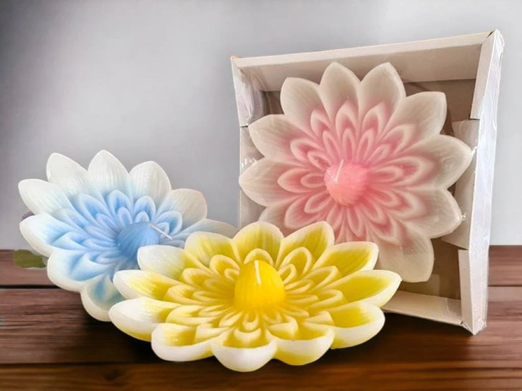 Vela flotante gigante de loto Irupé en caja de 4x20 cm