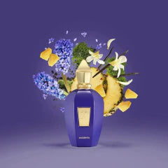PERFUME XERJOFF ACCENTO 100ML