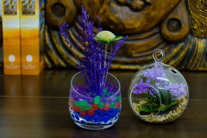 Set de 3 Copones de Cristal